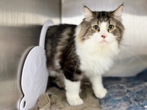 Lucky-0759b7a7