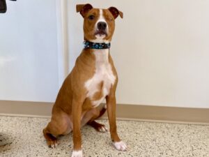 Clooney-Bruno-790e544e