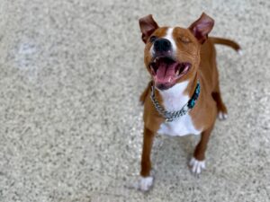 Clooney-Bruno-8e3c0445