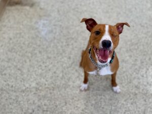 Clooney-Bruno-9b903a46