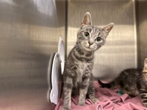 Mimi-c2f661fb